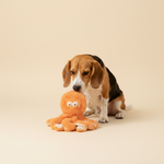 FuzzYard Toy - Nasties Flat out - Sir Legs A Lot The Octopus — lifestyle met hond | The Snuffle Studio