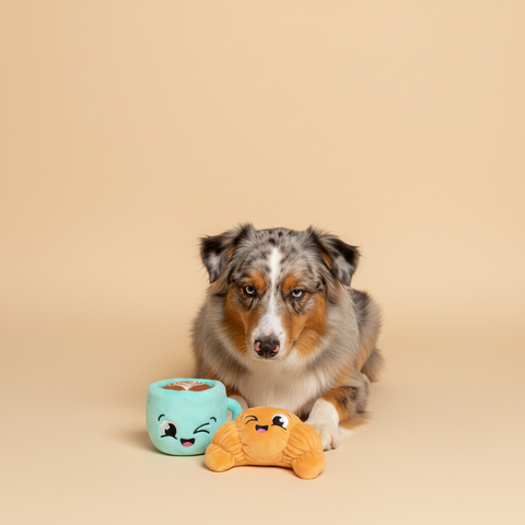 FuzzYard Toy - Perfect Match - Croissant & Cappuccino 2 pack — lifestyle met hond | The Snuffle Studio