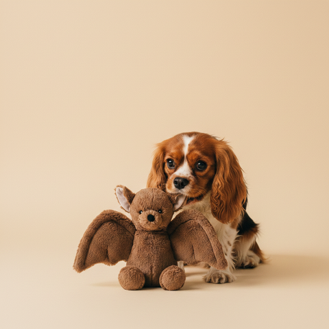Stuffed Bat – Knuffel – Ferribiella — lifestyle met hond | The Snuffle Studio