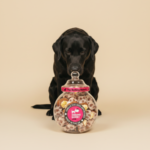 The Barking Bakery Mini Iced Woofin