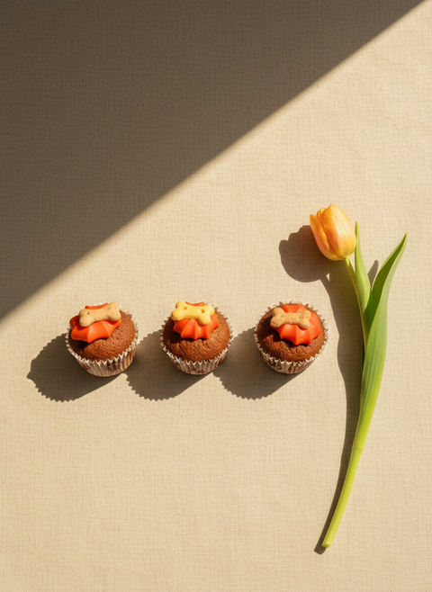The Barking Bakery Mini Iced Trios · Orange