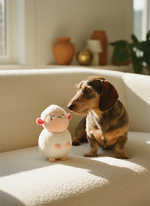 FuzzYard Pascua - Bahh-bara — lifestyle | The Snuffle Studio