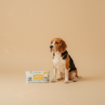 Ferribiella Wet Wipes For Ears (20 stuks) — lifestyle met hond | The Snuffle Studio