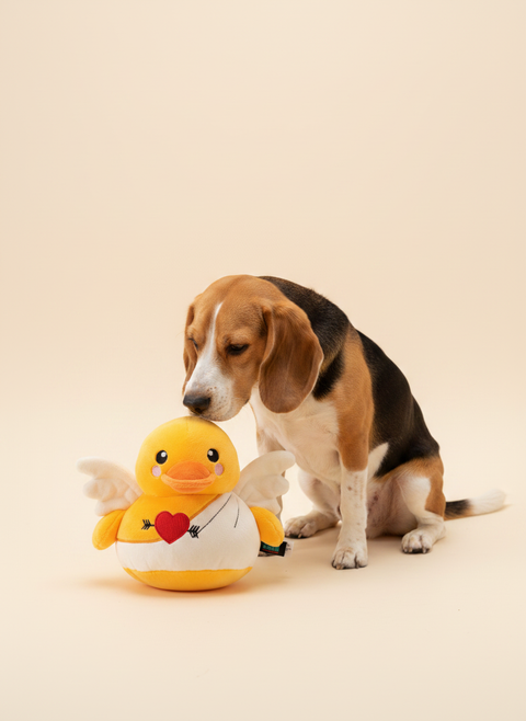 FuzzYard Love Collection - Cupid Duck — lifestyle met hond | The Snuffle Studio