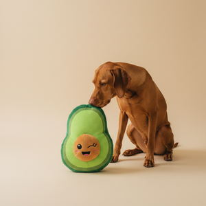 FuzzYard Winky Avocado