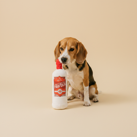 Pawdka - Dog Toy — lifestyle met hond | The Snuffle Studio