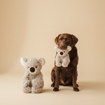 Stuffed Koala – Knuffel – Ferribiella — lifestyle met hond | The Snuffle Studio