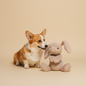 Ferribiella · Stuffed Rabbit