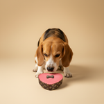 The Barking Bakery Pawty Cake – Pink Heart — lifestyle met hond | The Snuffle Studio