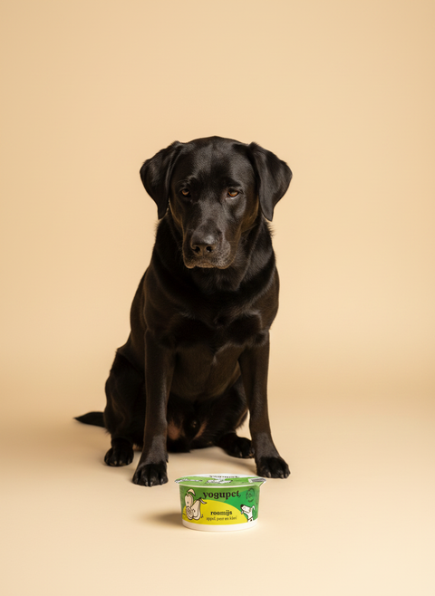 Yogupet Green Ice Apple-Pear-Kiwi — lifestyle met hond | The Snuffle Studio
