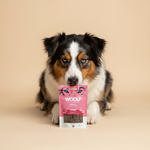 Woolf Soft Cubes · Zalm (Monoprotein)