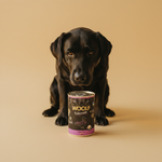 Woolf Ultimate Canned · Eend met Kokos