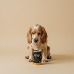 Woolf Ultimate Canned · Kalkoen met Tijm