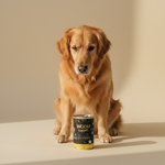 Woolf Ultimate Canned · Kip met Salie